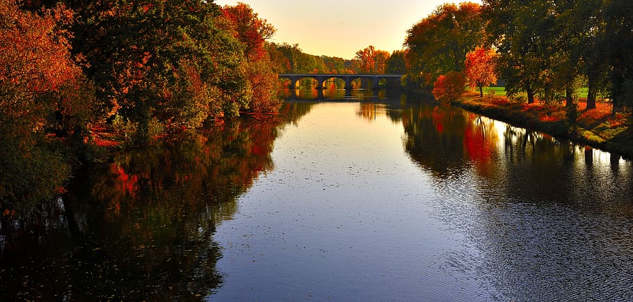 trees, river, water, nature, forest, landscape, scenic, reflection HD wallpaper