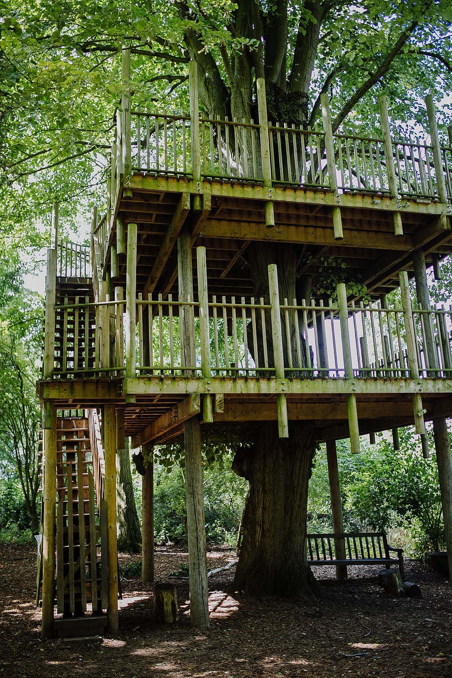 united kingdom, lode, anglesey abbey, tree, architecture, built structure HD wallpaper