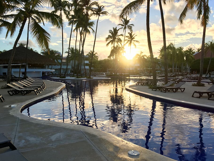 dominican republic, pool, sunset, water, palm tree, tropical climate
