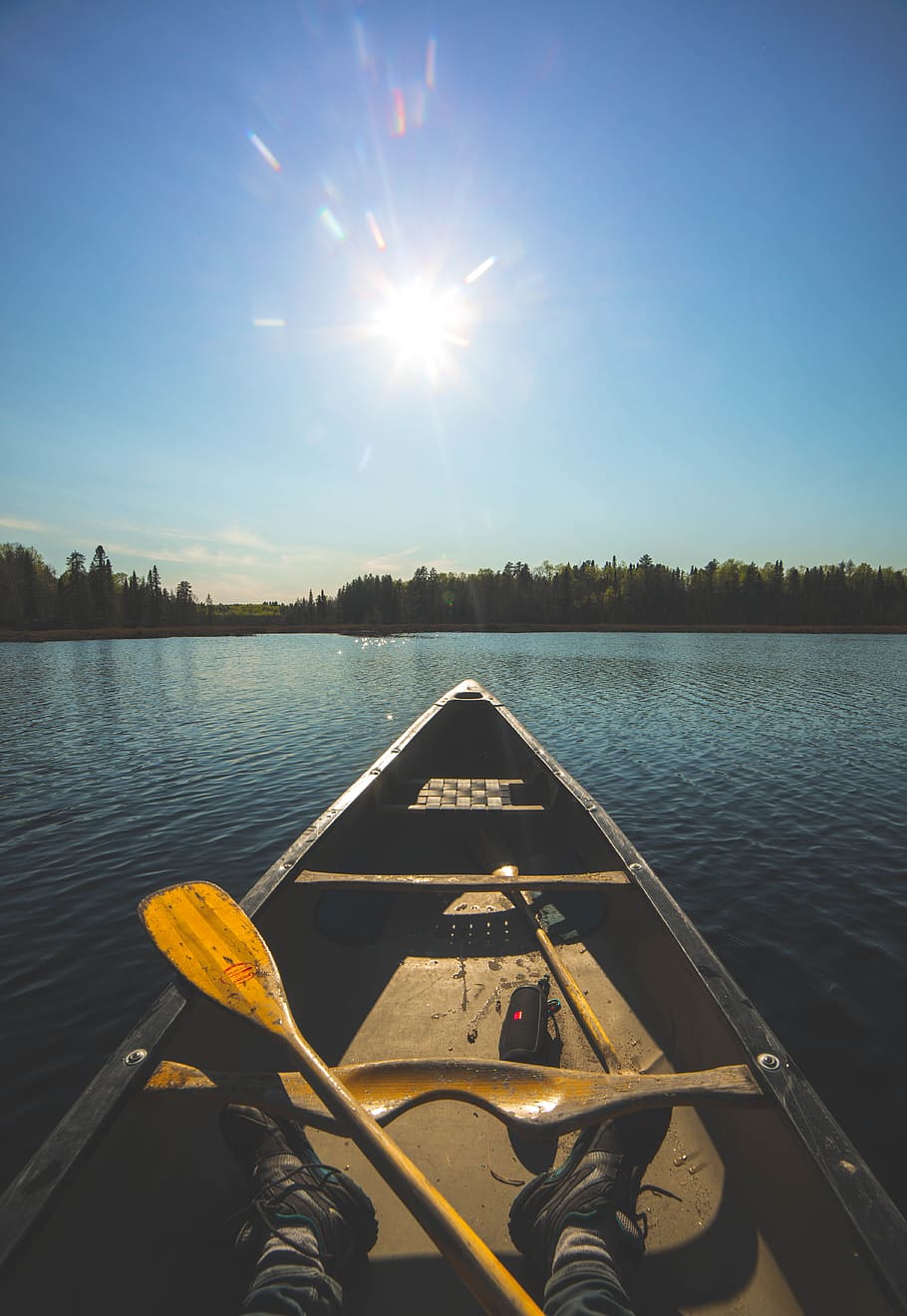 tree, canada, explore, canoe, lake, discover, sunset, light HD wallpaper