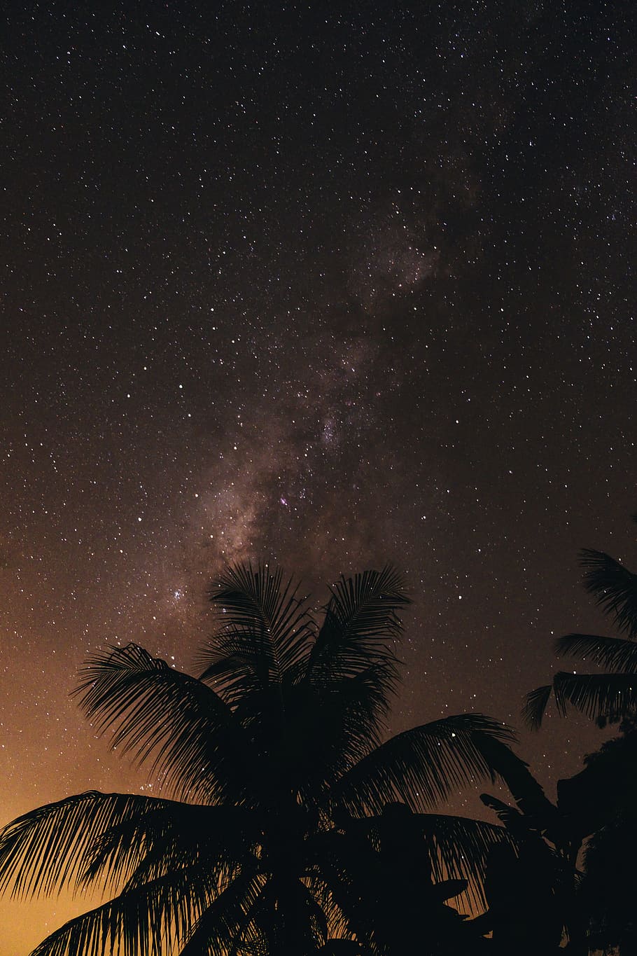 silhouette of coconut tree during nighttime, sky, star, galaxy HD wallpaper