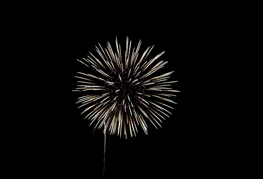 fireworks at night, copy space, firework display, low angle view HD wallpaper