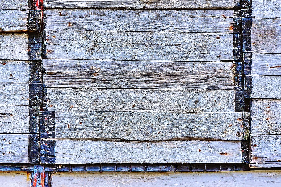 gray wooden board, animal, bird, building, rug, roof, porch, plywood HD wallpaper
