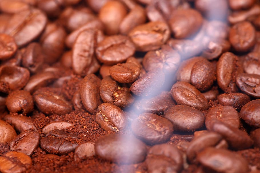 bean, background, macro, pattern, food, drink, dark, photography HD wallpaper