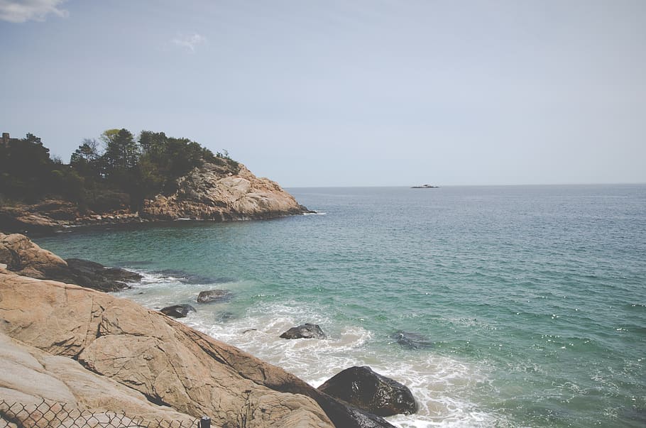cliff, water, ocean, rocks, trees, shore, inlet, atlantic, beach HD wallpaper