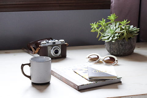 camera, electronics, plant, coffee cup, pottery, porcelain HD wallpaper