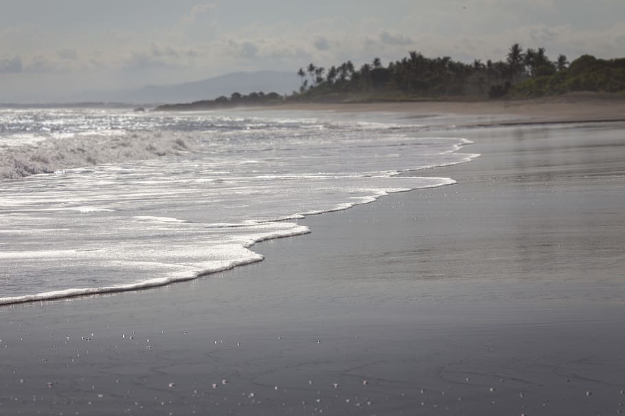 sea, water, waves, beach, palms, fog, sand, bali, indonesia HD wallpaper