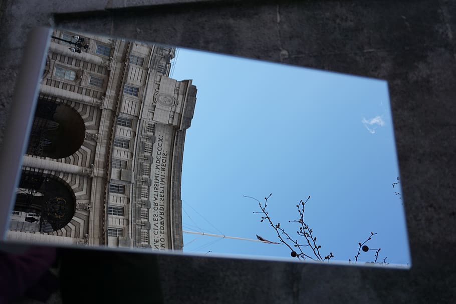 building, architecture, bird, animal, town, city, urban, downtown HD wallpaper