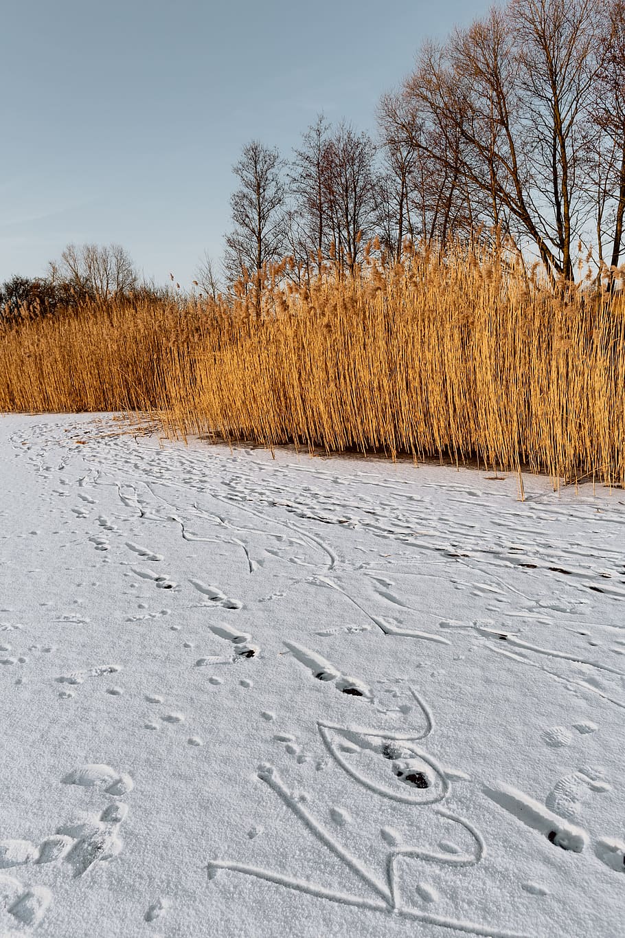 In middle of frozen lake, magic hour, nature, sunset, winter HD wallpaper