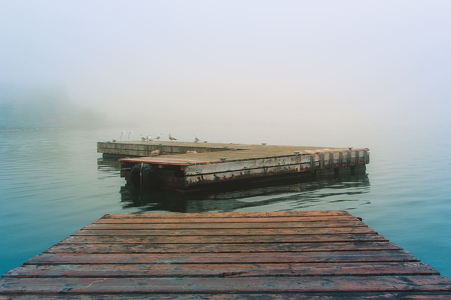 brown dock under white sky, water, sea, fog, pier, nature, day HD wallpaper