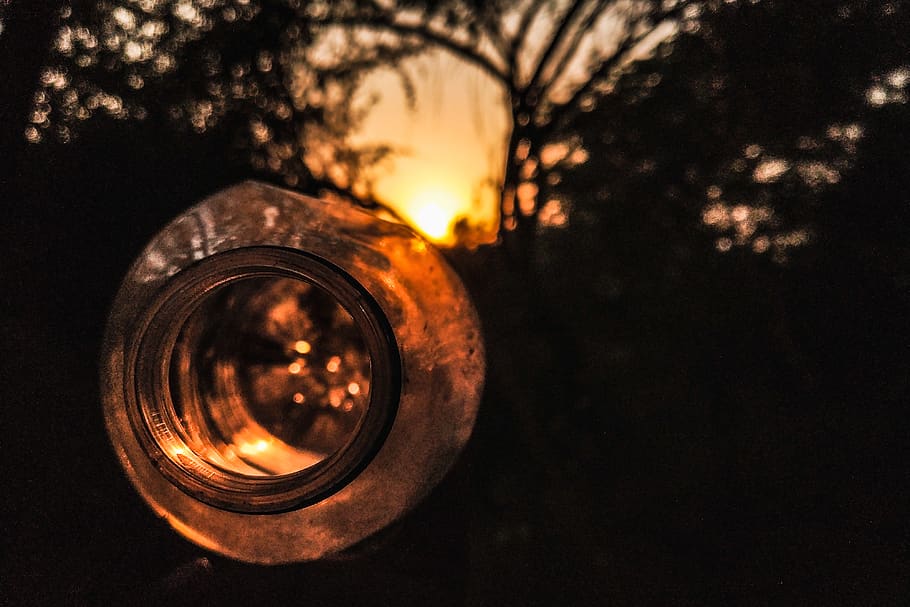sunset, sky, tree, nature, glass - material, no people, plant HD wallpaper