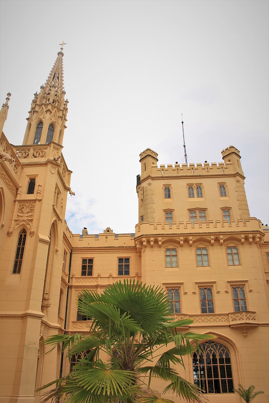 castle, history, building exterior, built structure, architecture HD wallpaper