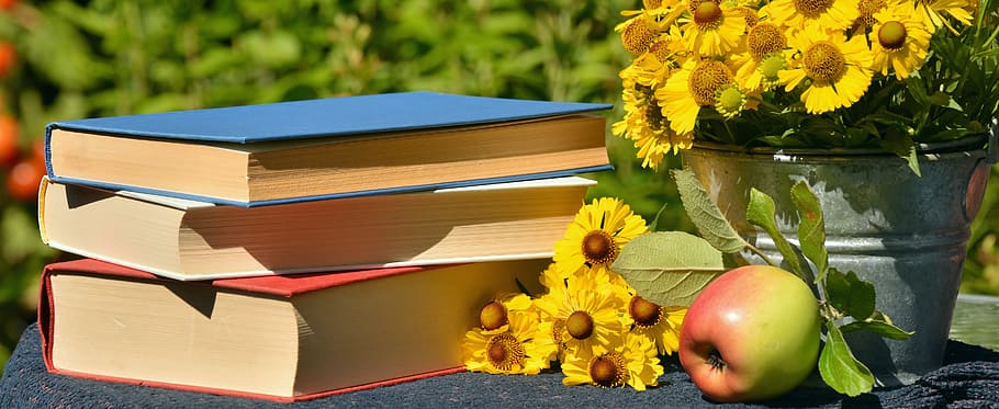 book, paper, object, fresh, flower, sunflower, nature, garden HD wallpaper