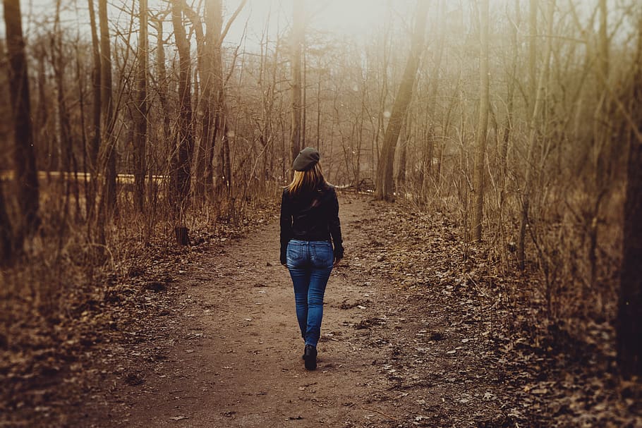 Woman Walking in the Forest, adult, back view, black jacket, dawn