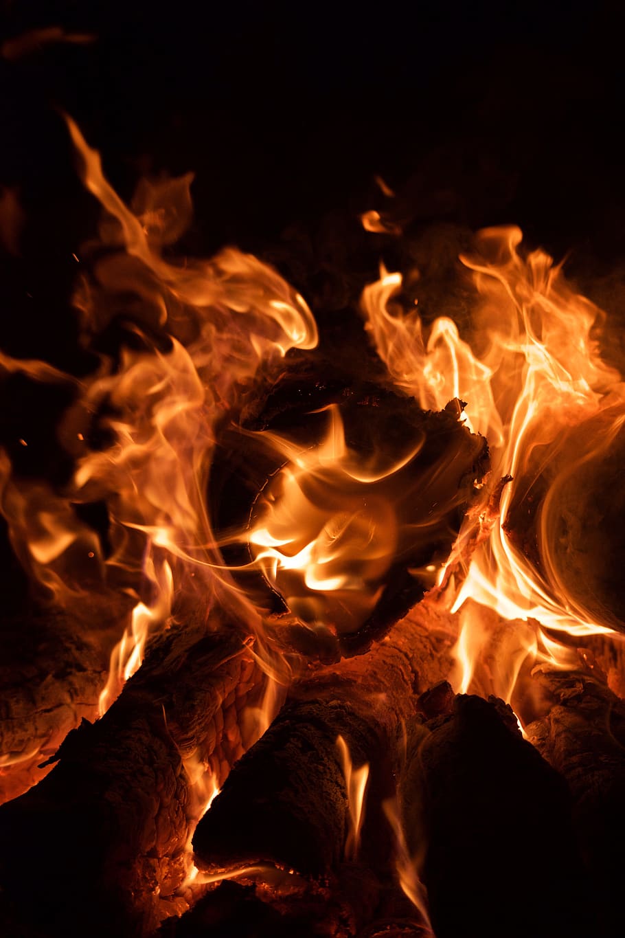 flame from woods, fire, human, person, people, united states HD wallpaper