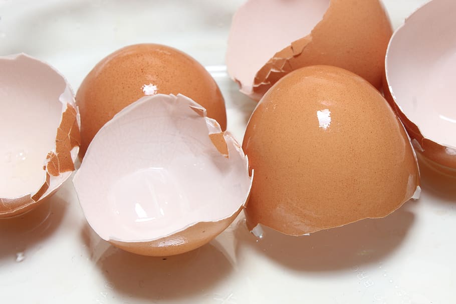 egg, food, easter, breakfast, eggshell, indoors, food and drink HD wallpaper