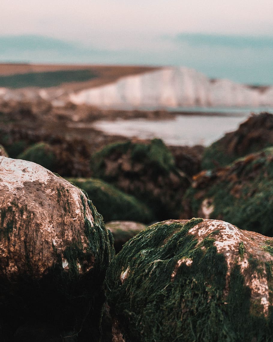 Closeup Photo of Gray Rocks, blurred background, coast, coastline