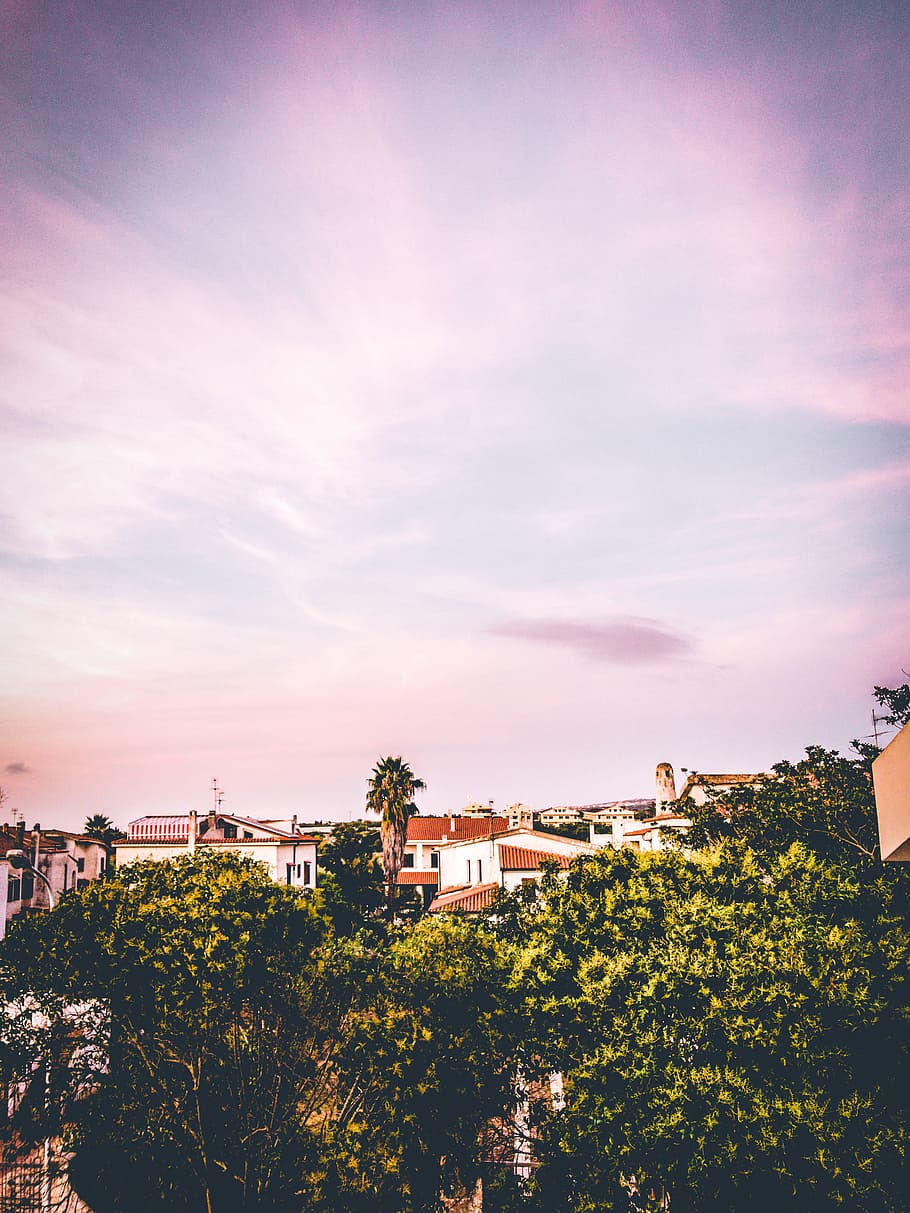 Green Leaf Trees Under Pink Sky, architecture, buildings, clouds HD wallpaper