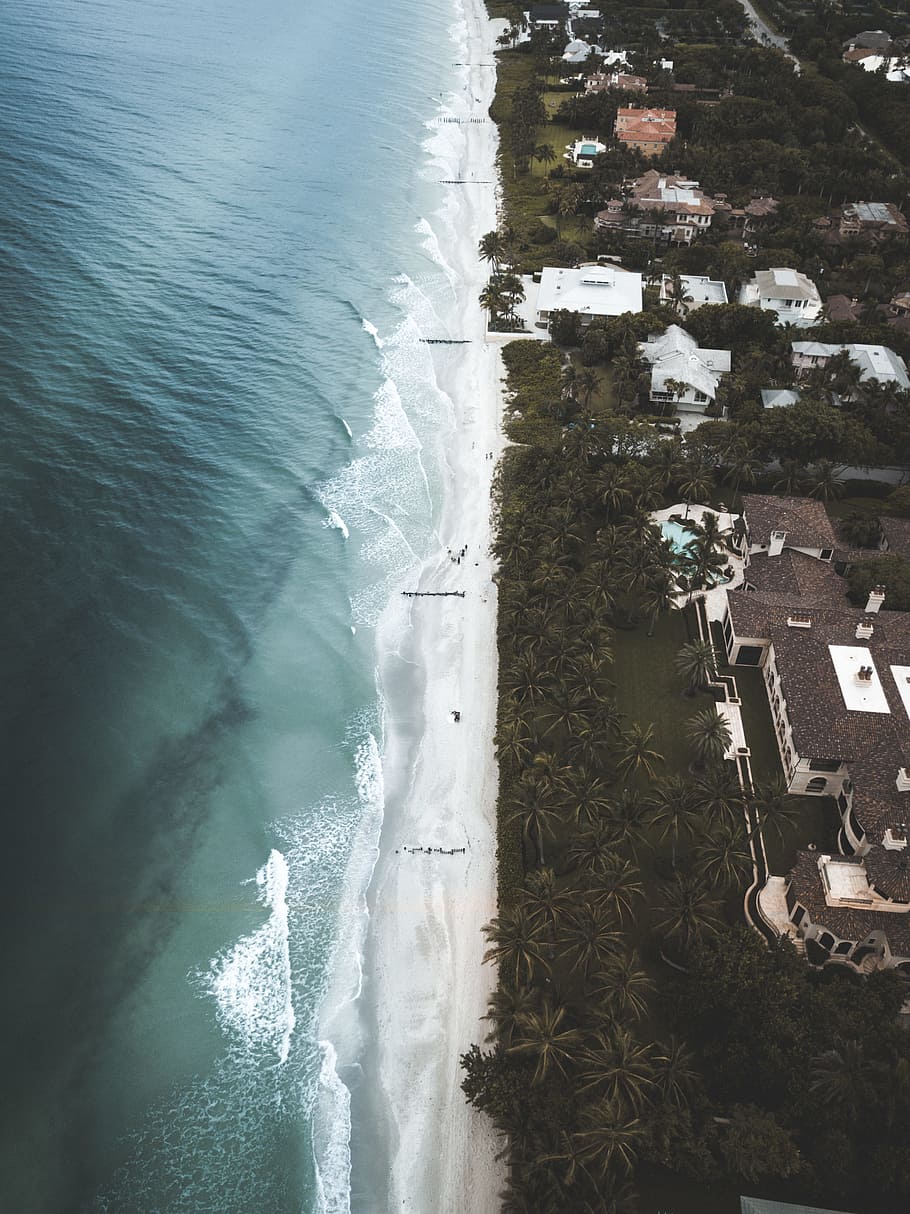 aerial view of buildings near ocean, sea shore, drone view, from above