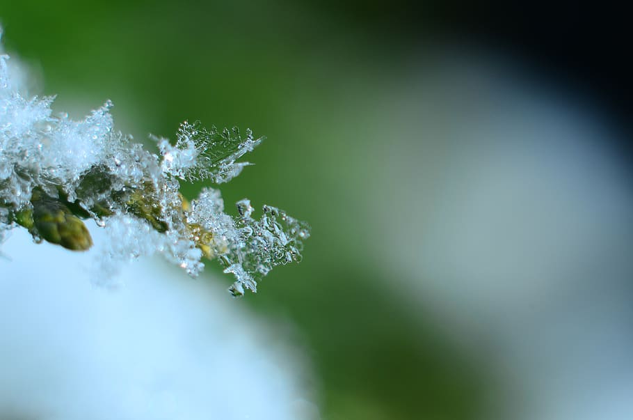 ice, crystal, snow, cold, macro, detal, flake, beauty in nature HD wallpaper