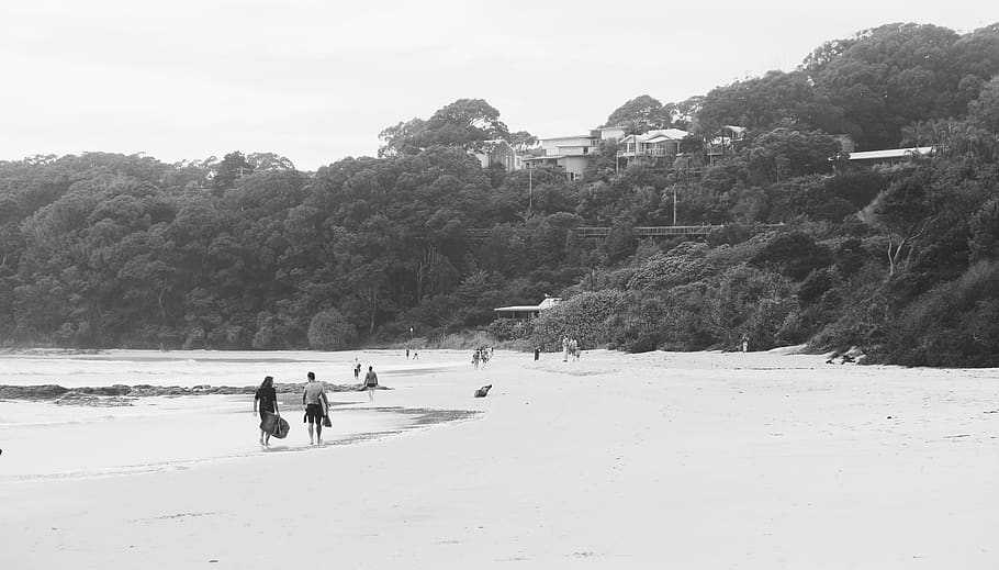 australia, byron bay, group of people, tree, plant, nature HD wallpaper