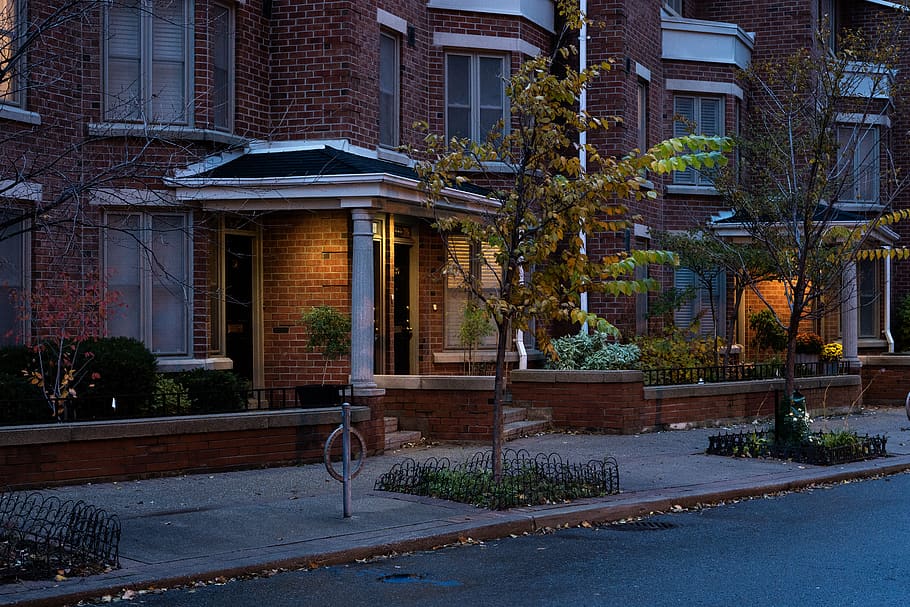 brown concrete building, tree, urban, city, plant, sidewalk, toronto HD wallpaper