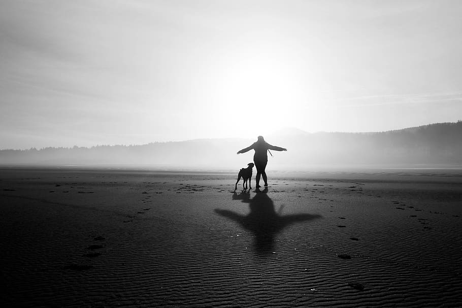 beach, dog, land, sand, sky, real people, one person, silhouette HD wallpaper