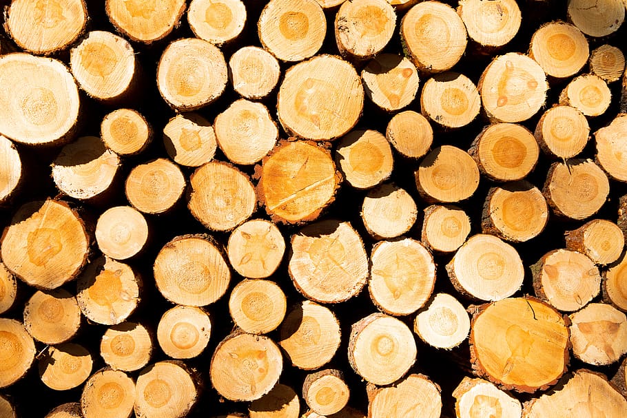 wood, stack, background, tree, tribe, section, forest, forestry HD wallpaper