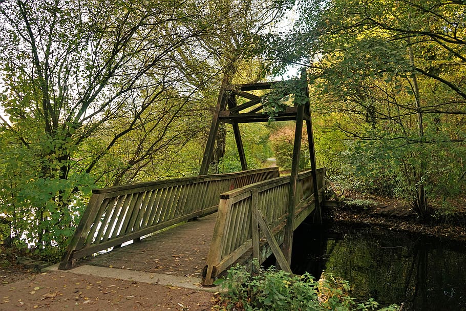 bridge, case, autumn, nature, lake, wood, tree, plant, forest HD wallpaper
