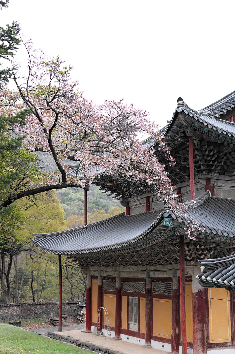 korea, temple, section, travel, buddhism, tourism, landscape, HD wallpaper