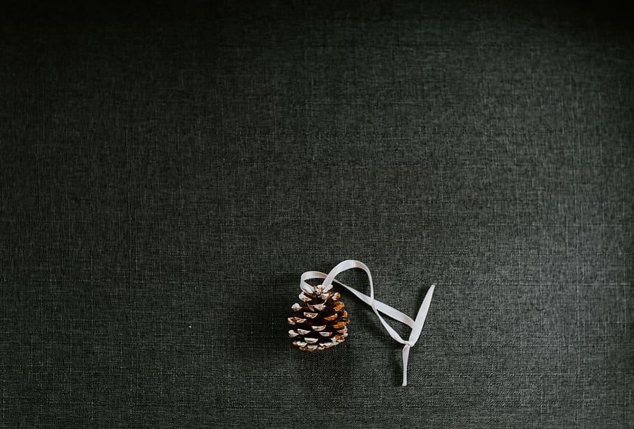 pine cone hanging decor, indoors, still life, studio shot, copy space HD wallpaper