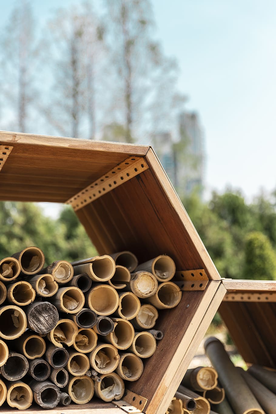 brown cut bamboo in hatch, wood, lumber, plant, seoul forest HD wallpaper