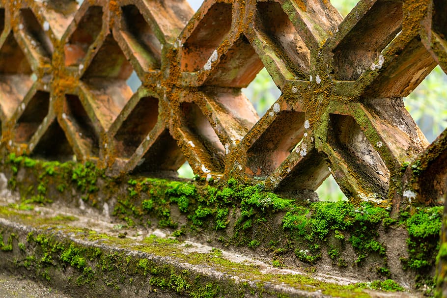 mold, green, architecture, nature, travel, nice, pasture, ecuador HD wallpaper