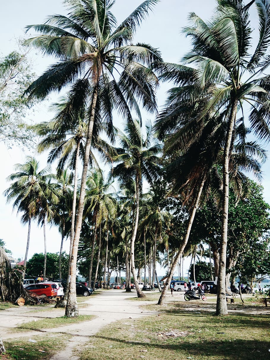 indonesia-karapyak-glamping-beach-karapyak.jpg