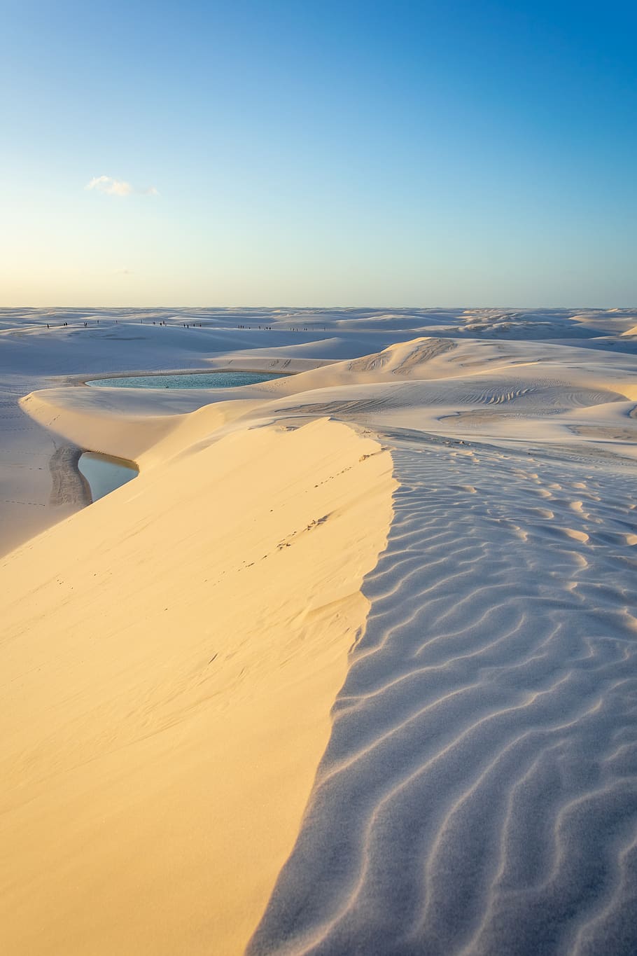 gold-and-dark-sand-dunes.jpg