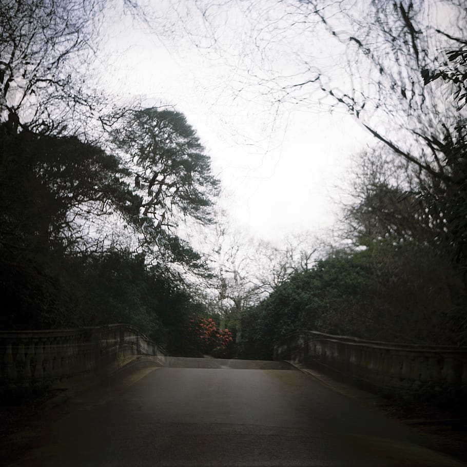 Double exposure, outdoors, garden, arbour, road, tarmac, asphalt HD wallpaper