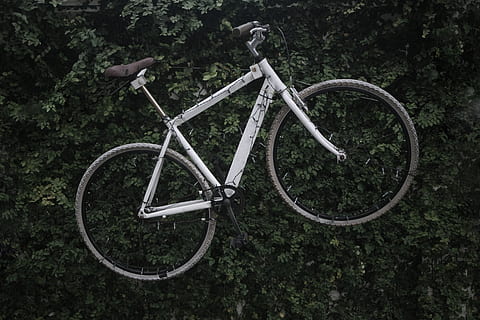 white bicycle on green plants, vehicle, transportation, bike HD wallpaper