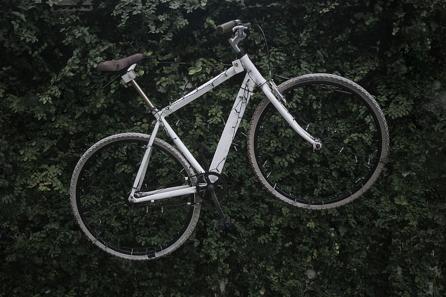 white bicycle on green plants, vehicle, transportation, bike HD wallpaper