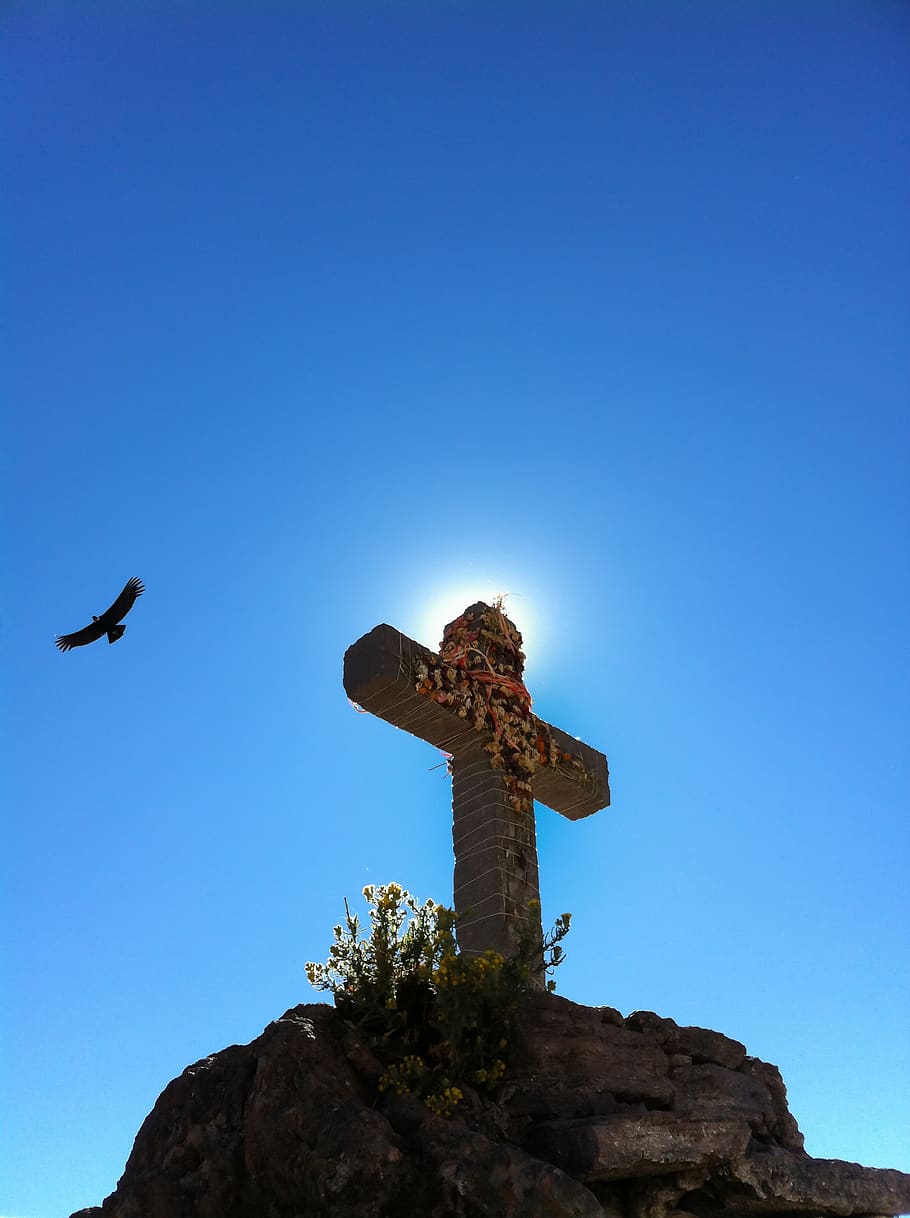 gray concrete cross on hill, symbol, animal, bird, crucifix, flying HD wallpaper