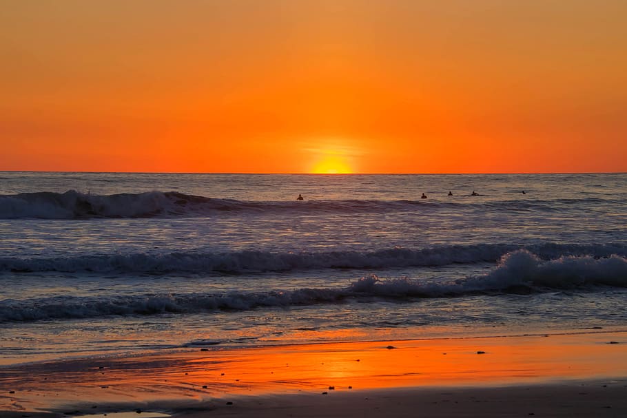 White Shoreline during Golden Hour, beach, dawn, dusk, horizon HD wallpaper