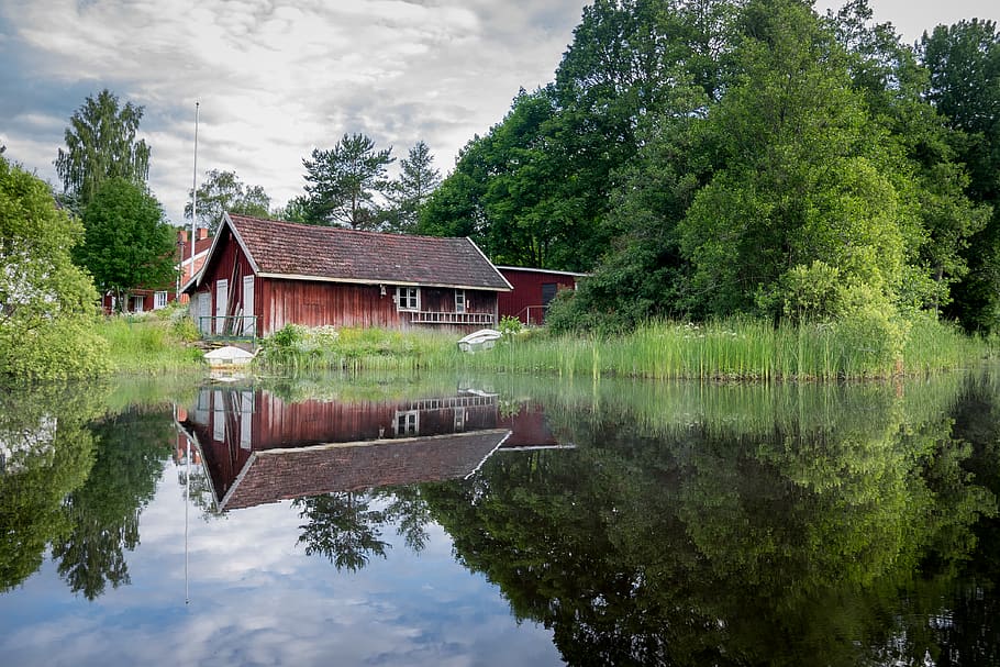 red barn, tree, water, plant, reflection, lake, architecture HD wallpaper