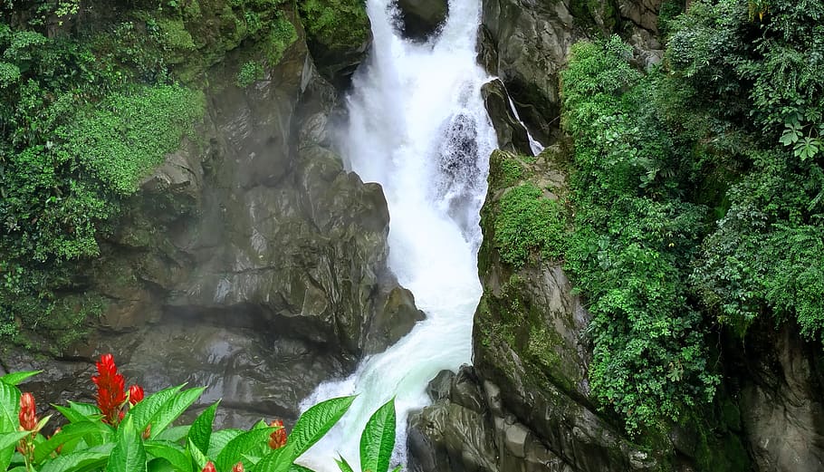ecuador, banos, water, plant, beauty in nature, waterfall, rock HD wallpaper