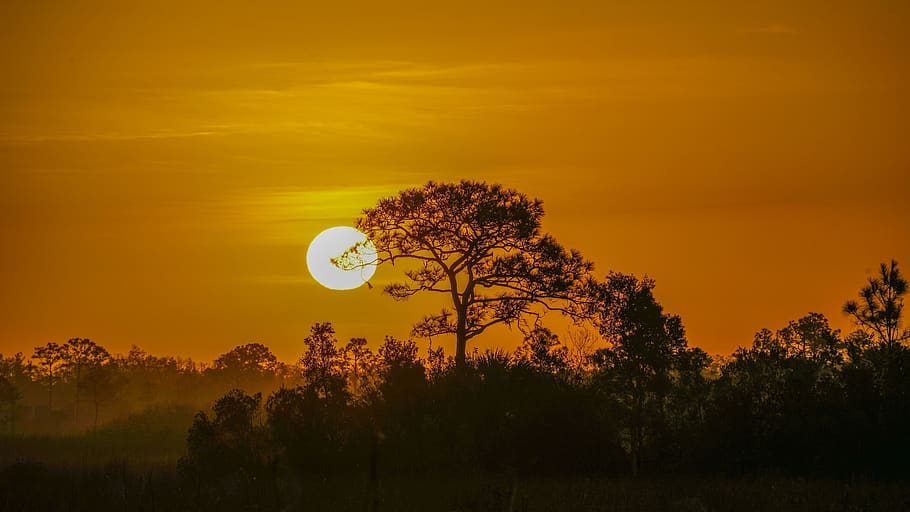 sunset, landscape, silhouette, orb, nature, sky, colorful, dusk HD wallpaper