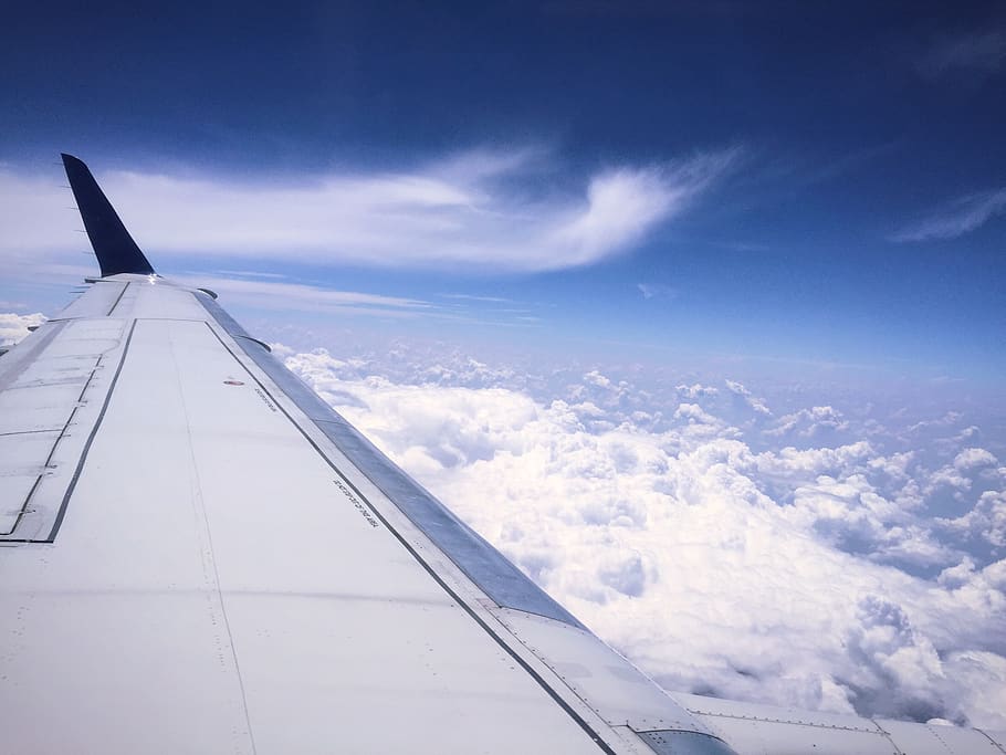 flight, fly, blue, plane, cloud, sky, cloud - sky, airplane HD wallpaper