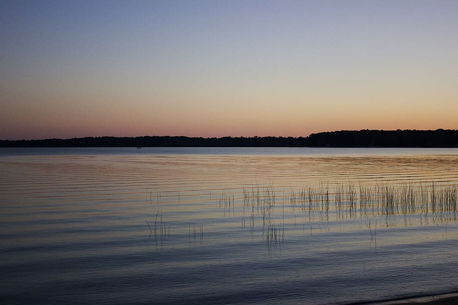 lake, sunset, colorful, nature, water, swamp, reeds, calmness, HD wallpaper