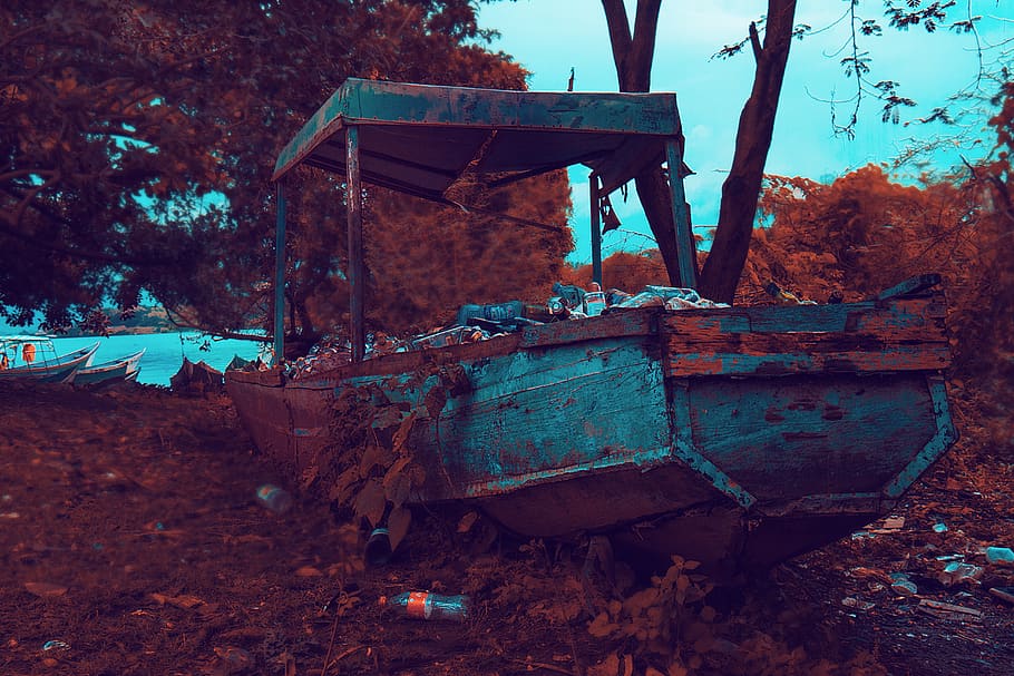 Rusty Brown and Gray Boat Near Trees and Body of Water, abandoned HD wallpaper