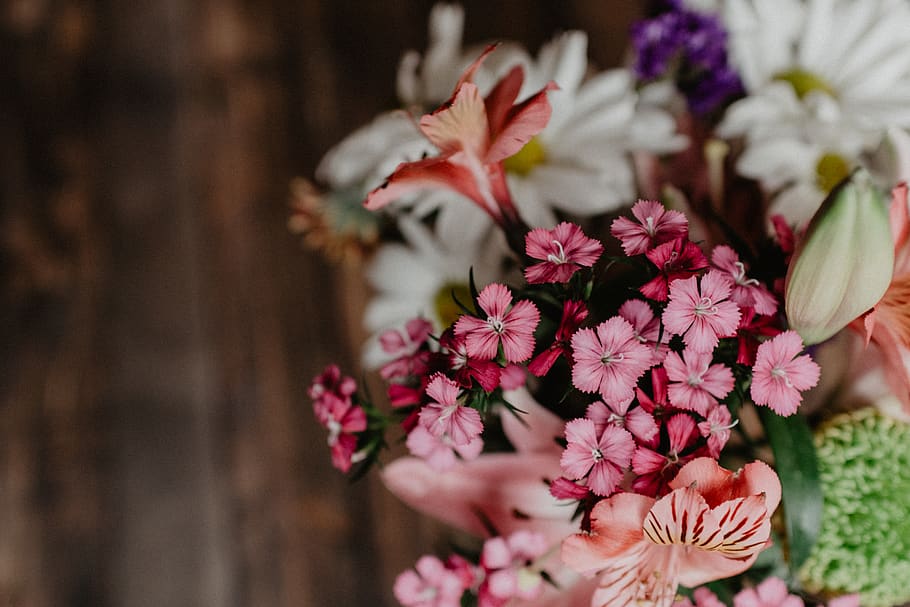 pink flowers, plant, blossom, flower bouquet, flower arrangement HD wallpaper