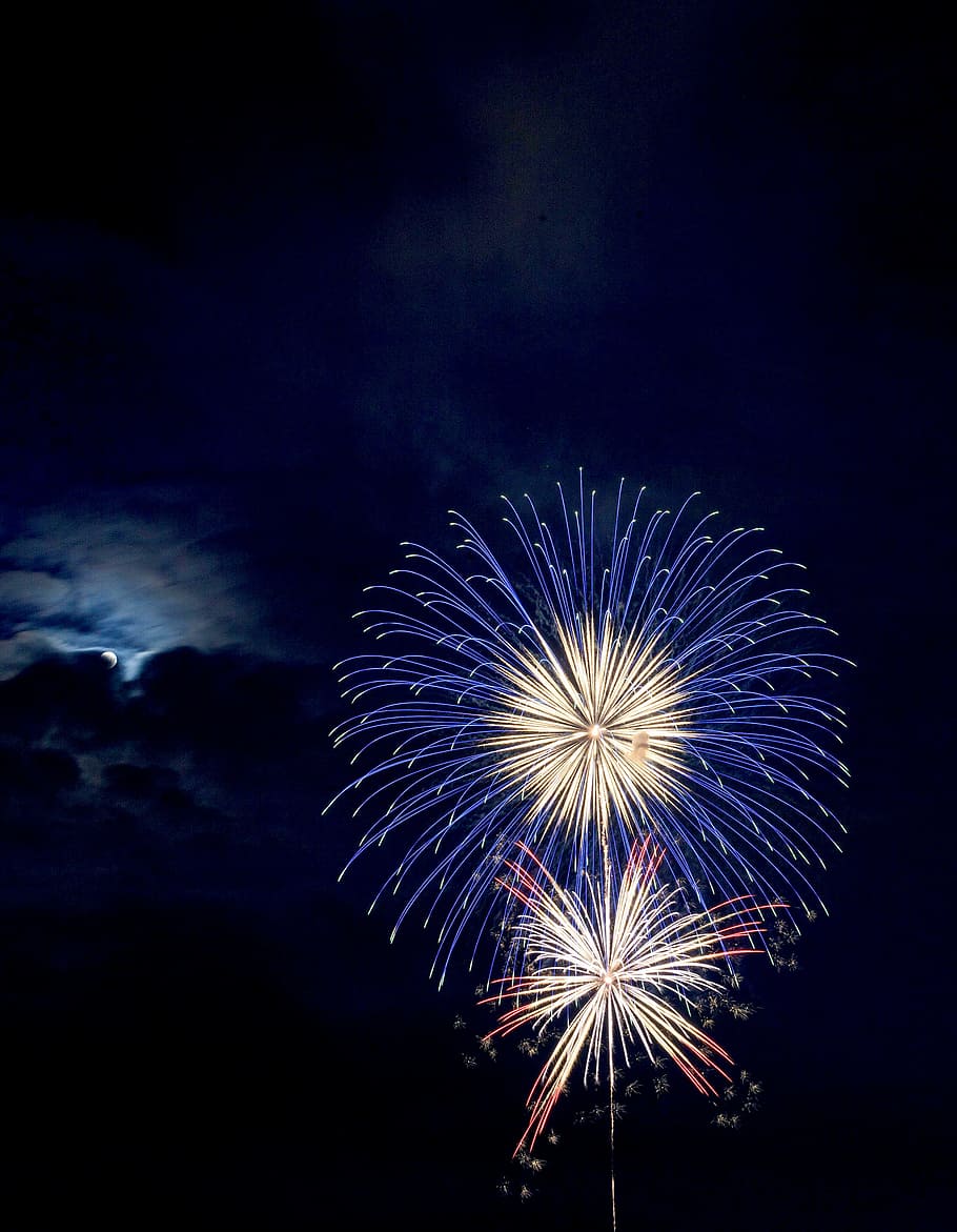 Blue and Red Brocade Fireworks at Night, celebration, dark, explosion HD wallpaper