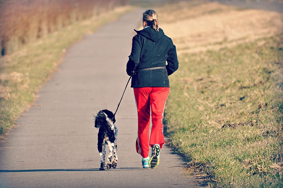 woman, person, jogging, dog, exercise, fitness, health, country road, HD wallpaper