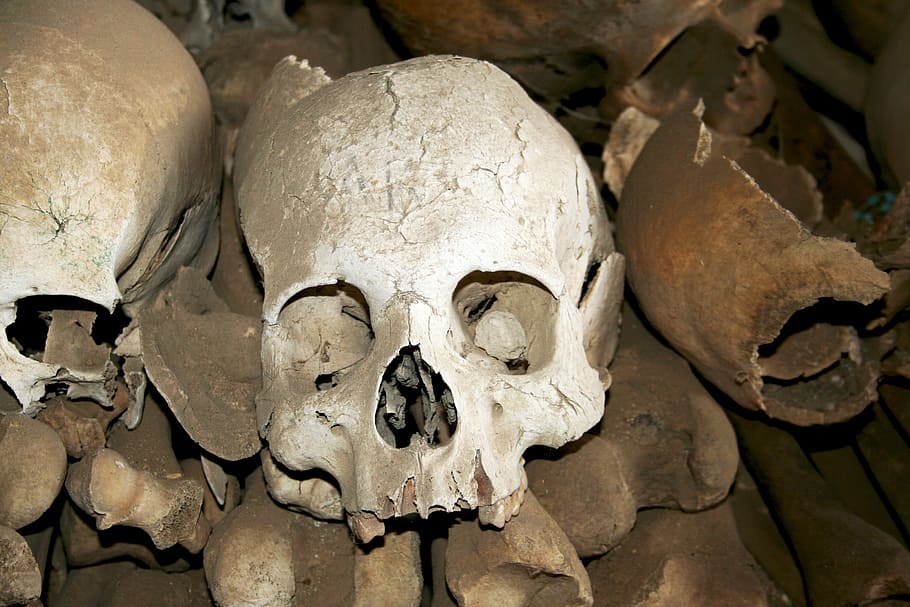 skull, bone, sculpture, head, carving, ancient history, human skeleton HD wallpaper